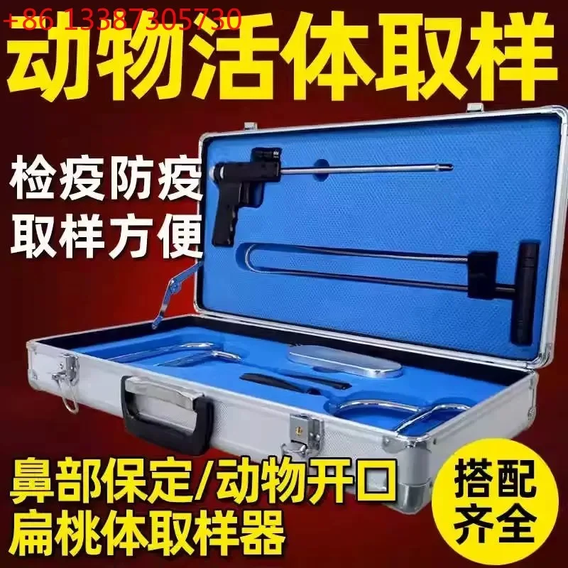 Pig Tonsil Live Sam…