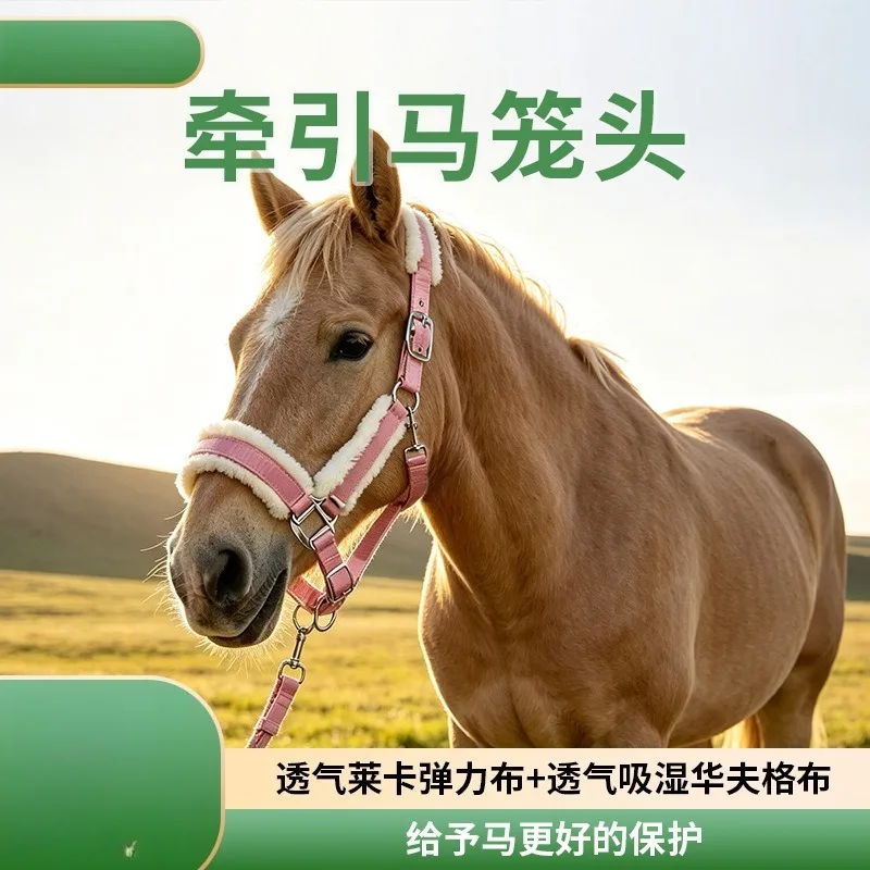 Horse Halter, Adjustable PP Webbing Equine Halter, Soft Padded Horse Headcollar for Horse Leading Training