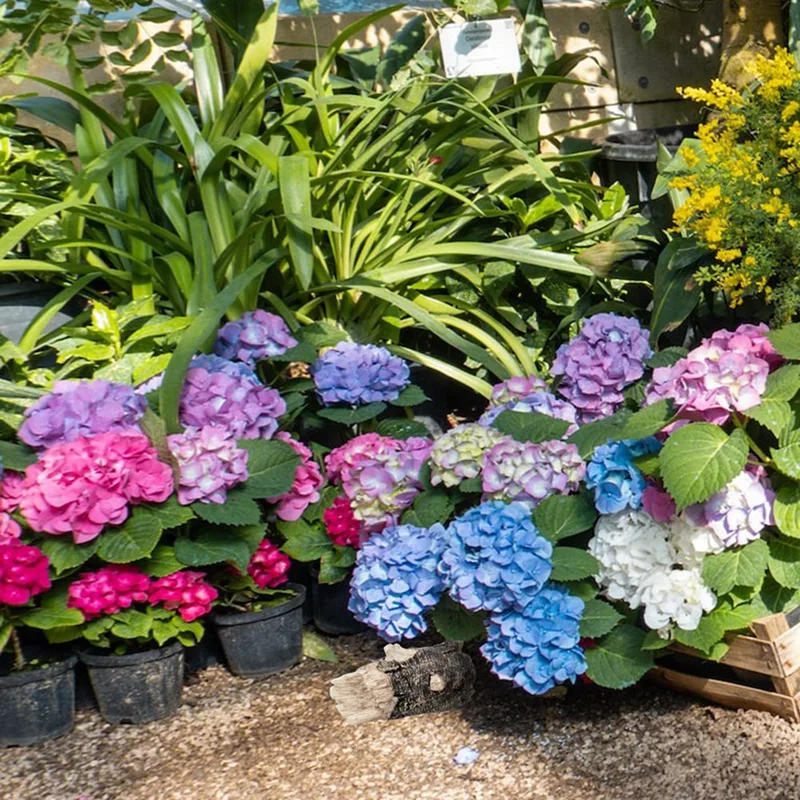 Ao ar livre Caixa De Armazenamento De Madeira Apodreceu Seguro, Esconder uma Chave Titulares, Impermeável, Quintal Exterior, Jardim Estátuas Ornamento, Fácil de Usar