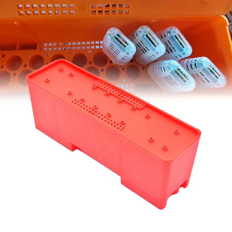 

Queen Bee Transport Box Queen Cage Beekeeper Bee Rearing Incubator Bee Moving Isolator JZ-BZ Protection Case Beekeeping Tool