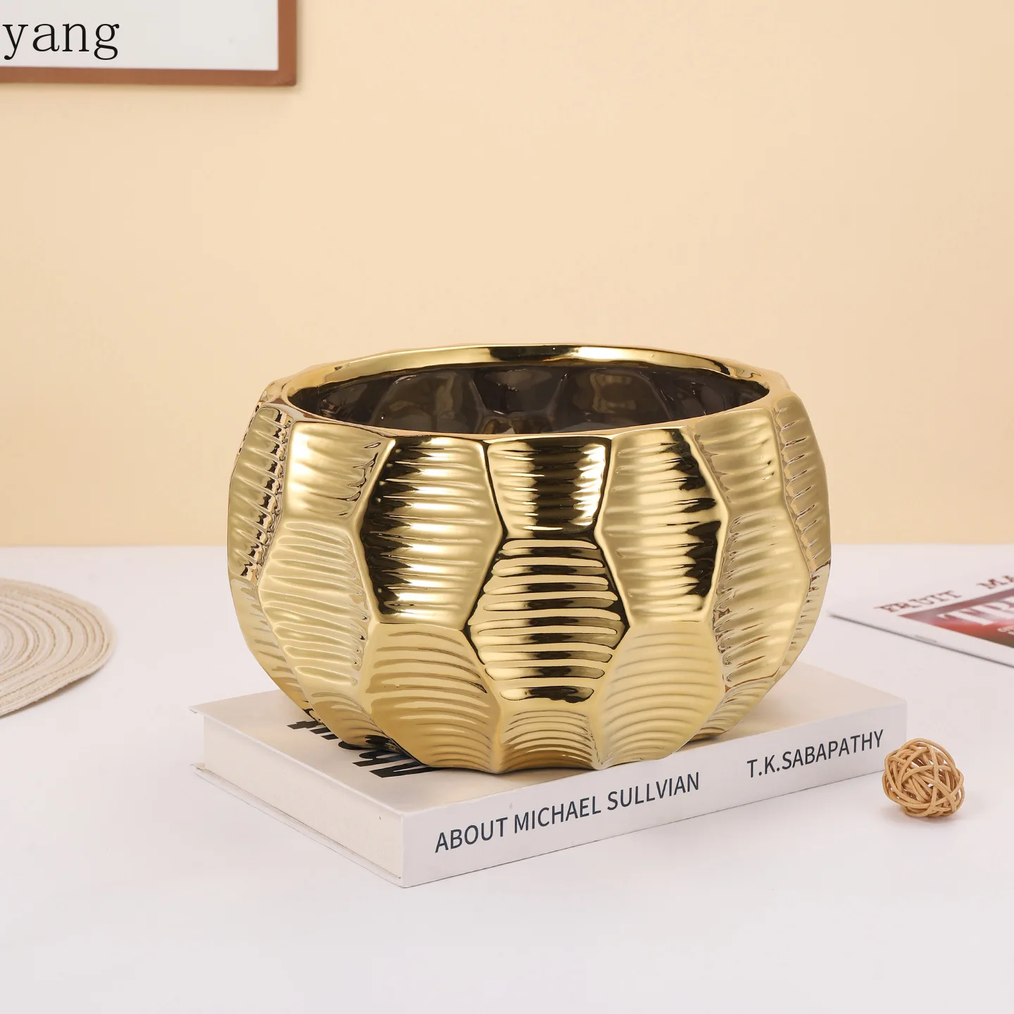 CX Creative Large Diameter Orchid Set Pot New Year Holly Phalaenopsis Electroplating Advanced Ornament