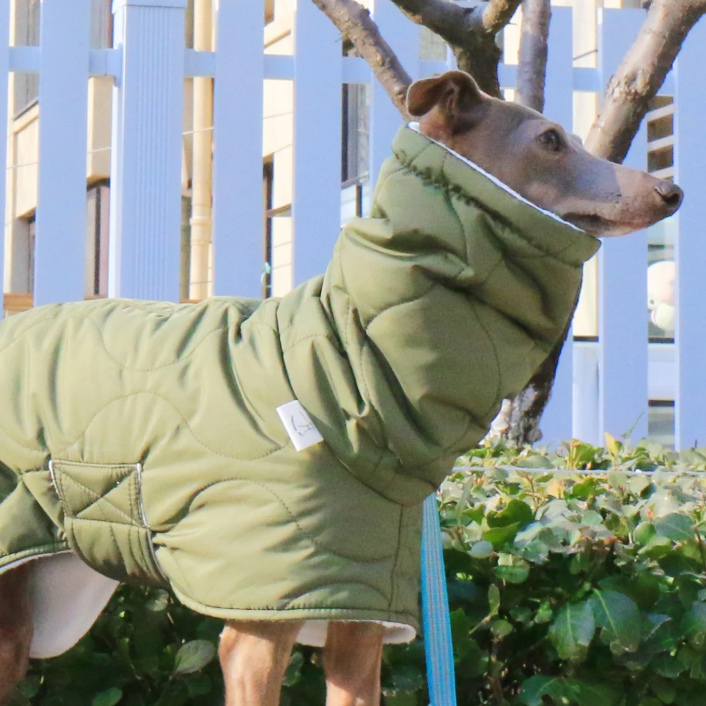 Winterroter Umhang für Hunde, eleganter verstellbarer Bund, dicker Baumwollmantel für Italien, Windhund, winddichte warme Jacke für Whippet – Detail 3