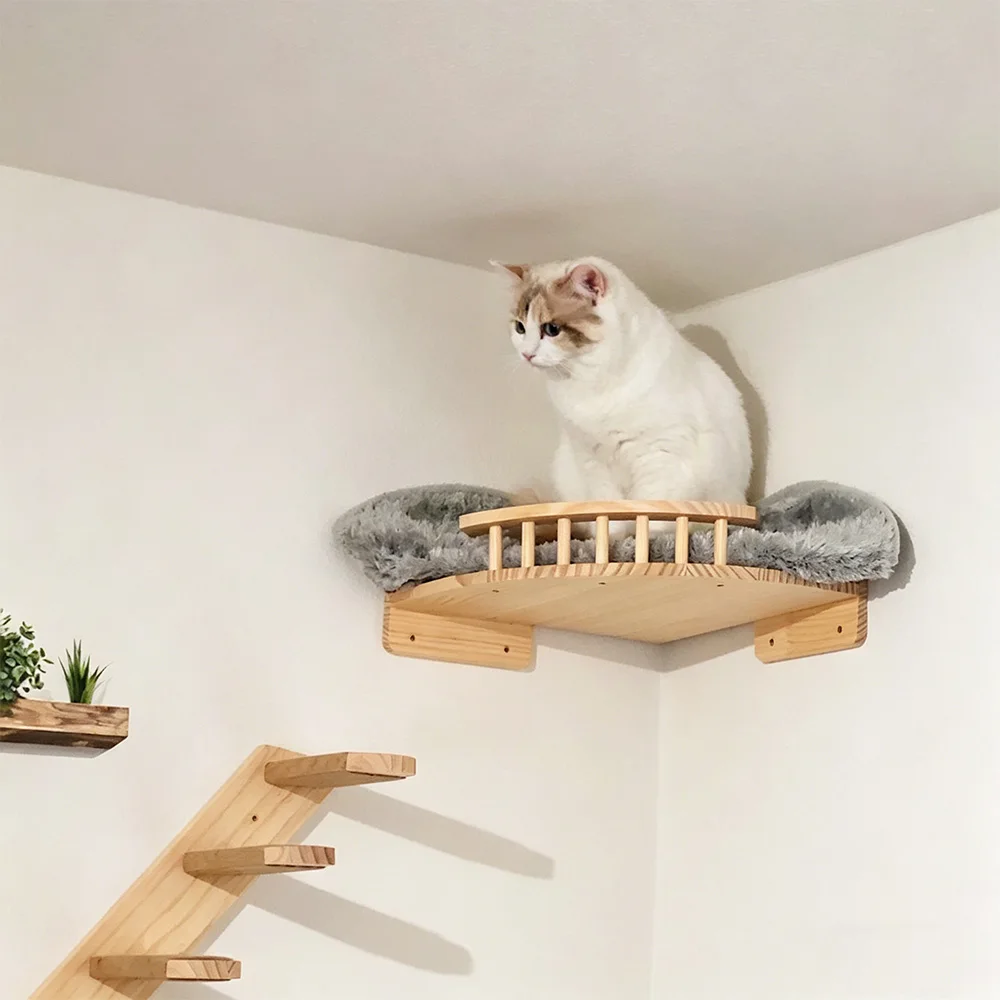 Muebles de pared para gatos – Rascador, hamaca y estantes de escalada