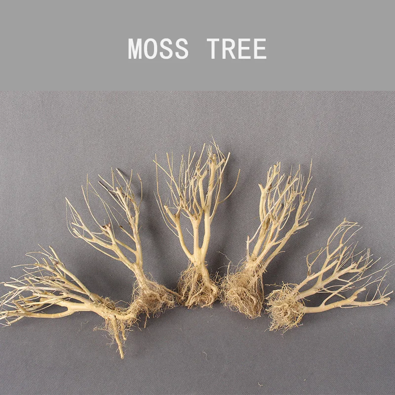 

Natural Wood Decor for Aquarium Moss Tree for Fish Aquariums Accessory Aquarium Decors Driftwood Branches Aqarium Accessories