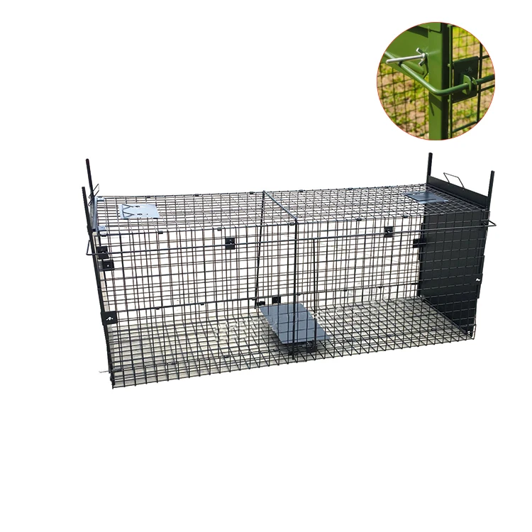 Direct Sale Large Size Folding Animal Fox Cage Traps Effective Catch Solution for Dog Pest Control
