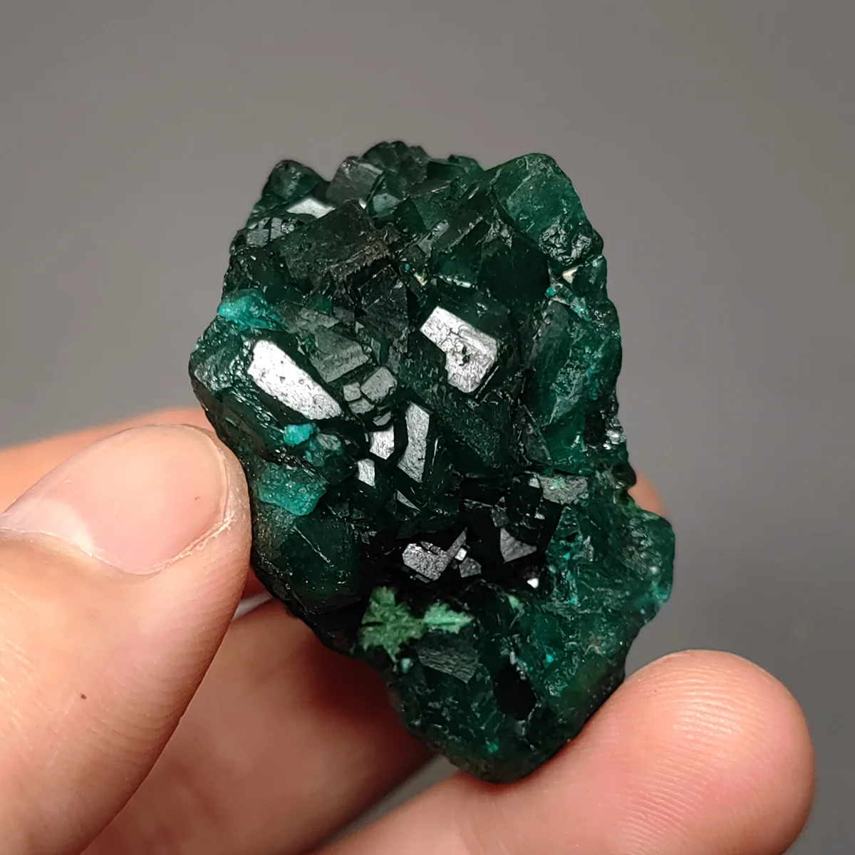 

C5-1B 100% Natural Congo Dioptase Raw Stone Mineral Specimen Healing Crystal Gem Collection