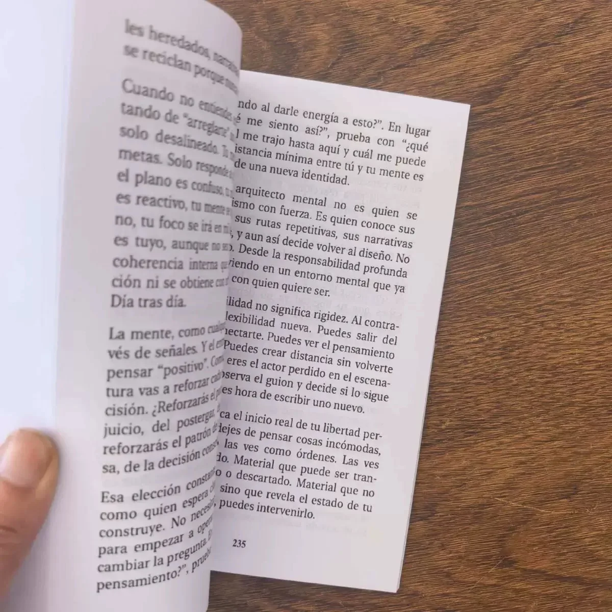 Spanisches Buch: Eine einzige Idee ist wertvoller als eine Million, Wohlstandsmindset, Selbsthilfe, Finanzen, Taschenbuch für erwachsene Unternehmer. – Detail 2