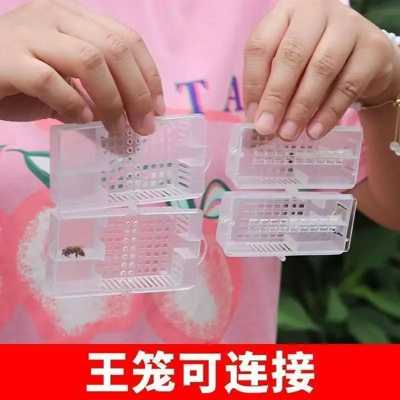 50PCS  Multifunctional Prison King Cage Mail  Bee  Plastic  Mail Queen Bee Cage Beekeeping Tools