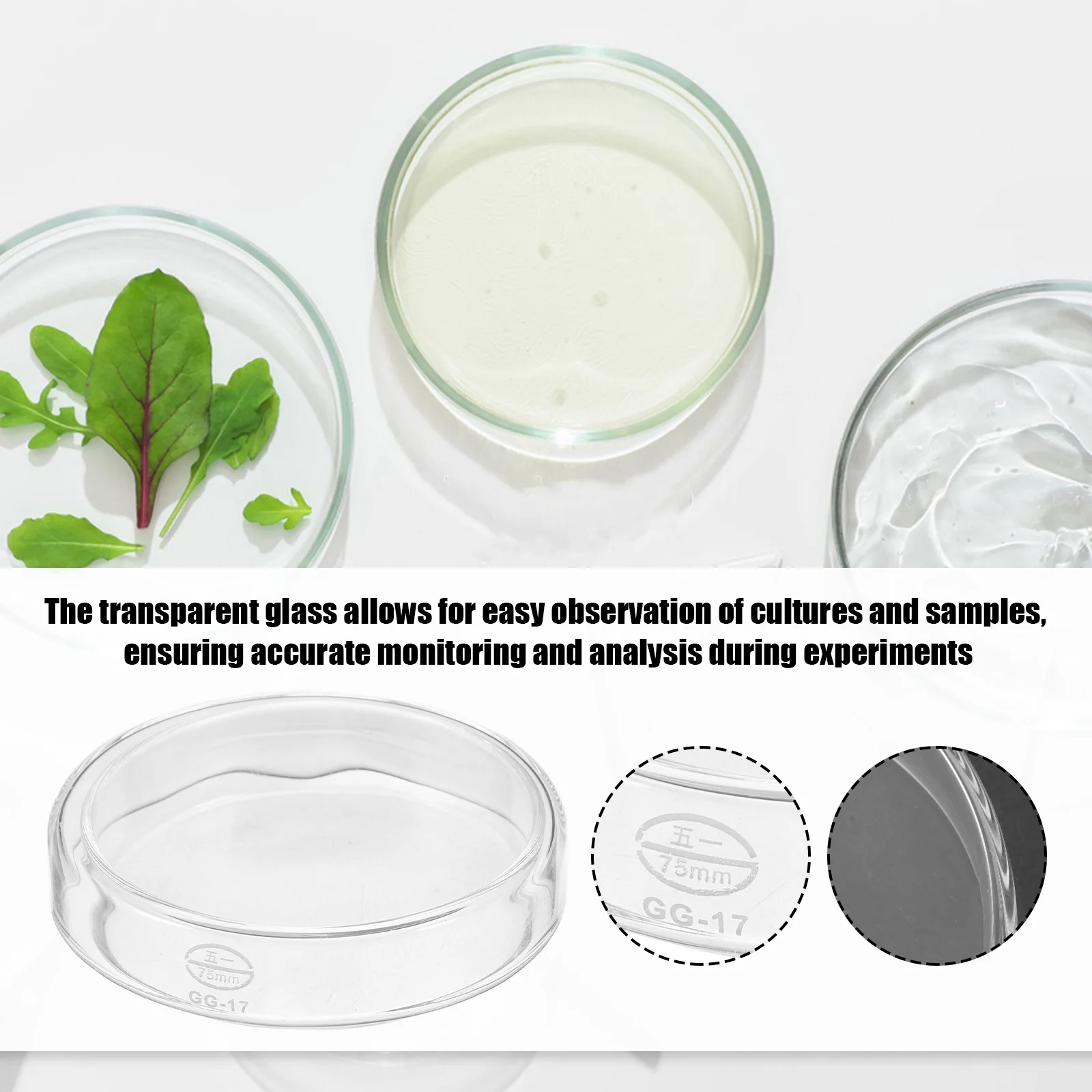 

1 Set Glass Petri Dishes 100Mm X 15Mm Thickened Lab Plates For Cell Culture Agar Experiments Autoclavable Specimen Cups With