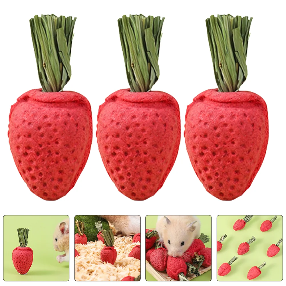 3 Pcs Hamster Molar Toy Teething Toys Chew Little Strawberry Bunny Chinchilla Props