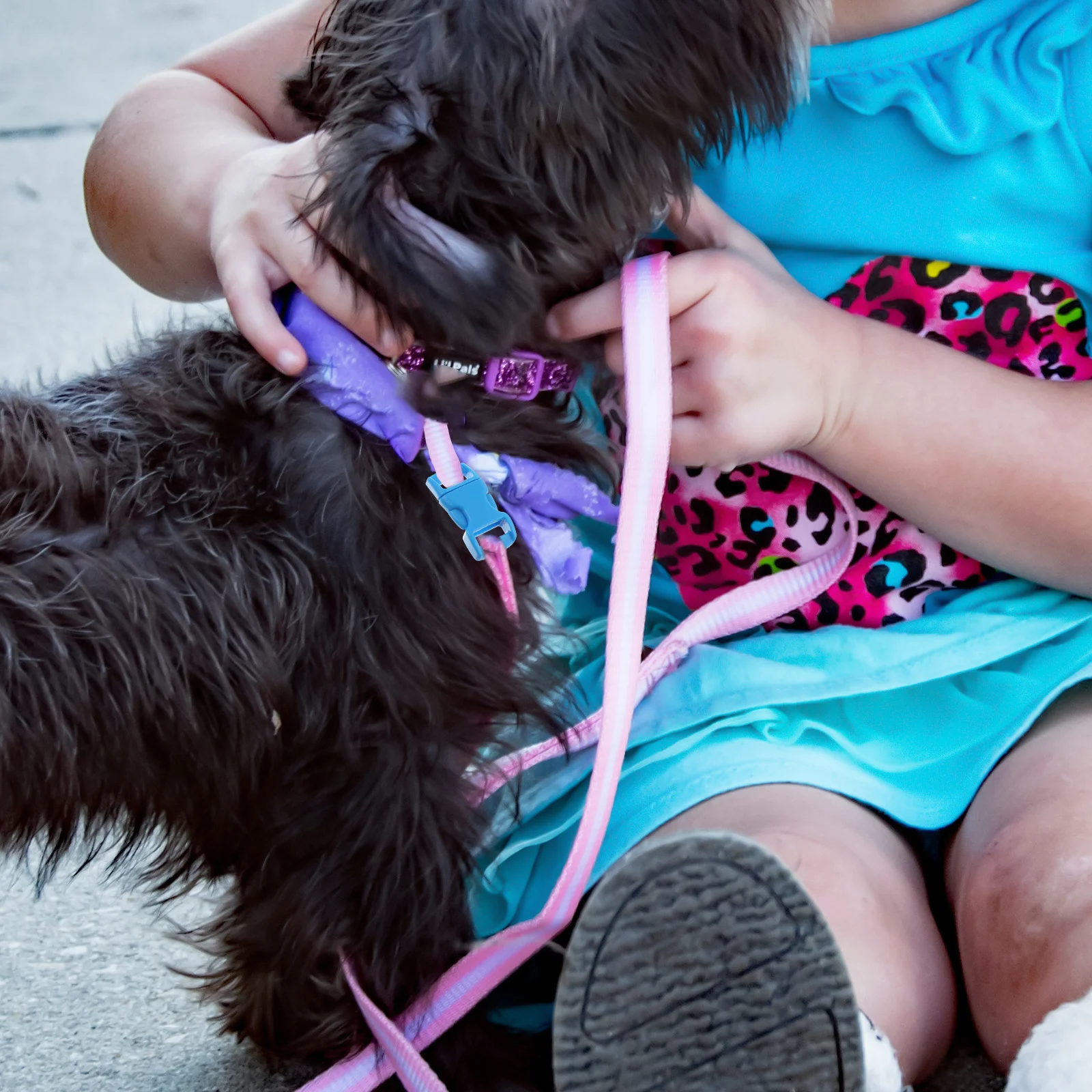 

50Pcs Quick Release Plastic Buckle for Backpack Strap Webbing Belt Adjustable Bag Secure Clips Quick Release Buckle