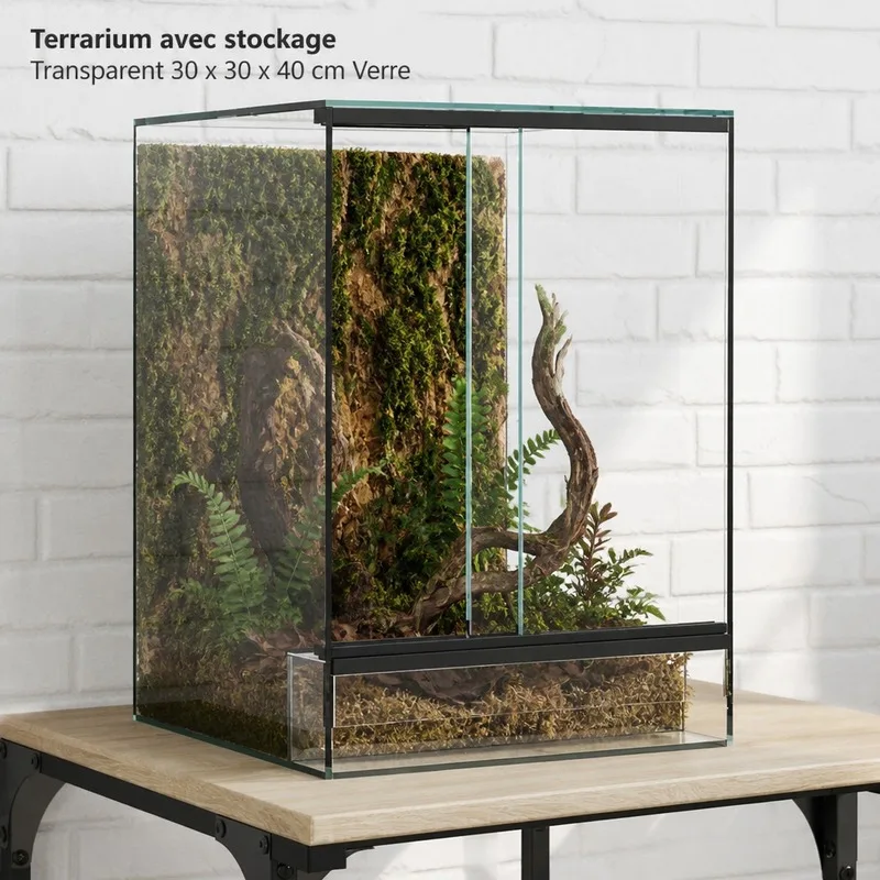 Transparentes Glas-Terrarium 30x30x40cm mit Stauraum, Leicht zu Reinigen, Hochwertig, Perfekt für Wohnungsdekoration