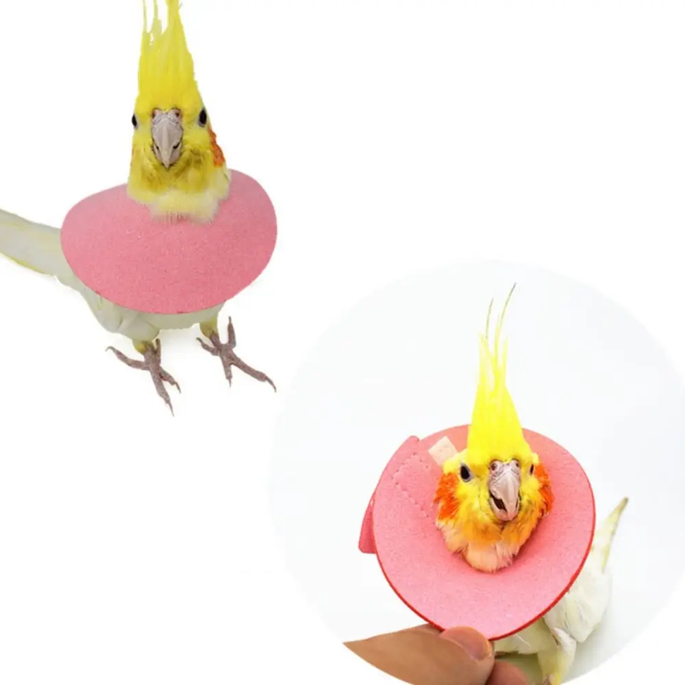 for Bird Neck Protective Bird Accessories Bird Recovery Collar Bird Cloak Parrot Elizabethan Circle Bird Neck Sleeve
