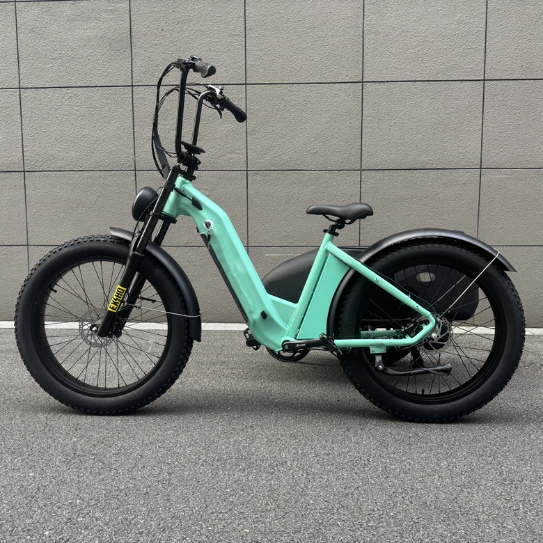 E Bike Side Car Adult Electric Tricycle Bicycle 3 Wheel Ebike Electric Cargo Trike 750w Hidden Lithium Battery Etrike Sidecar