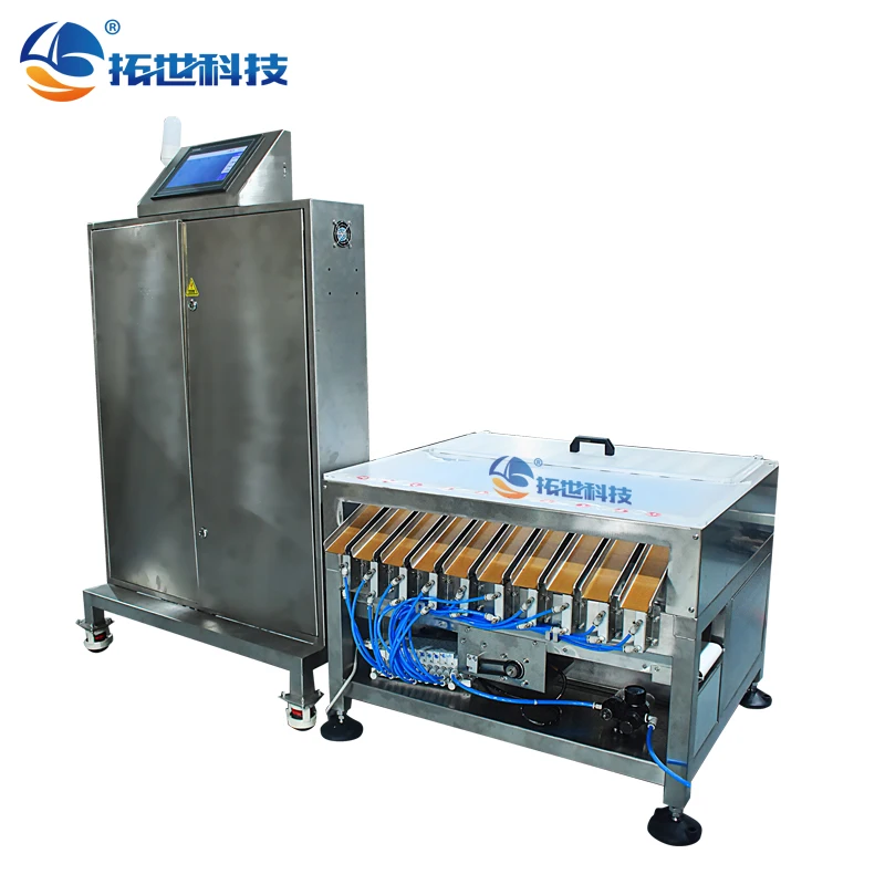 Macchina per lo smistamento di frutta e frutti di mare per pesci Trasportatore a alimentazione automatica Macchina per la classificazione del trasportatore a tavola rotante per alimentazione separata