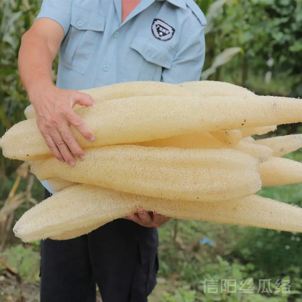 Natural Loofah Luffa Sponge Long Non-stick Dishwashing Artifact Good Absorbency Ecological Planting Dish Towels Bath Kitchen