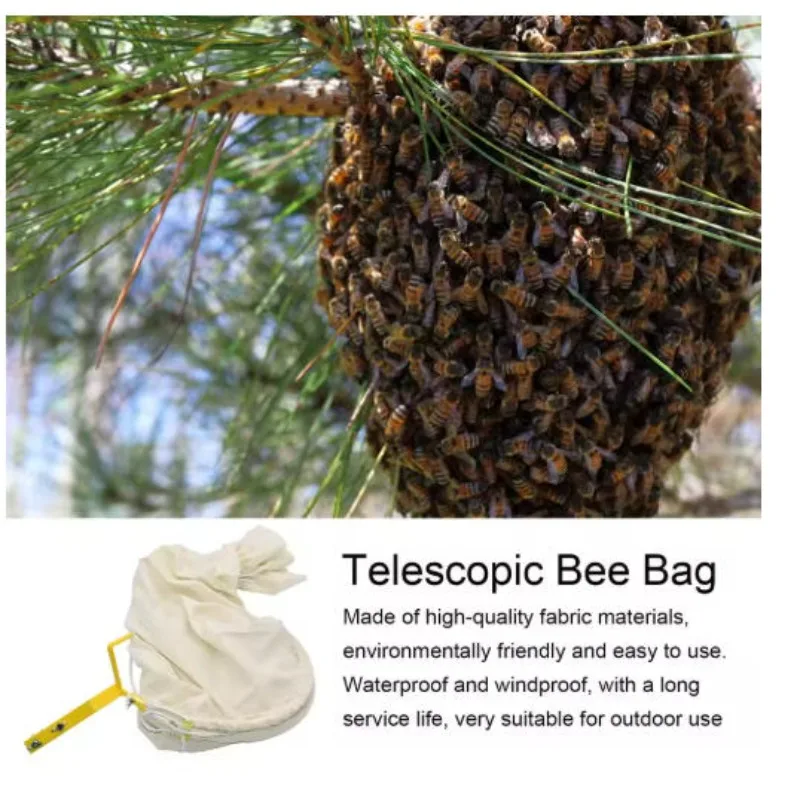 حقيبة أدوات ترويجية متينة وصديقة للبيئة من القماش القطني لعام 2025، حقيبة أدوات لتربية النحل، حقيبة التقاط مستعم النحل شديدة التحمل