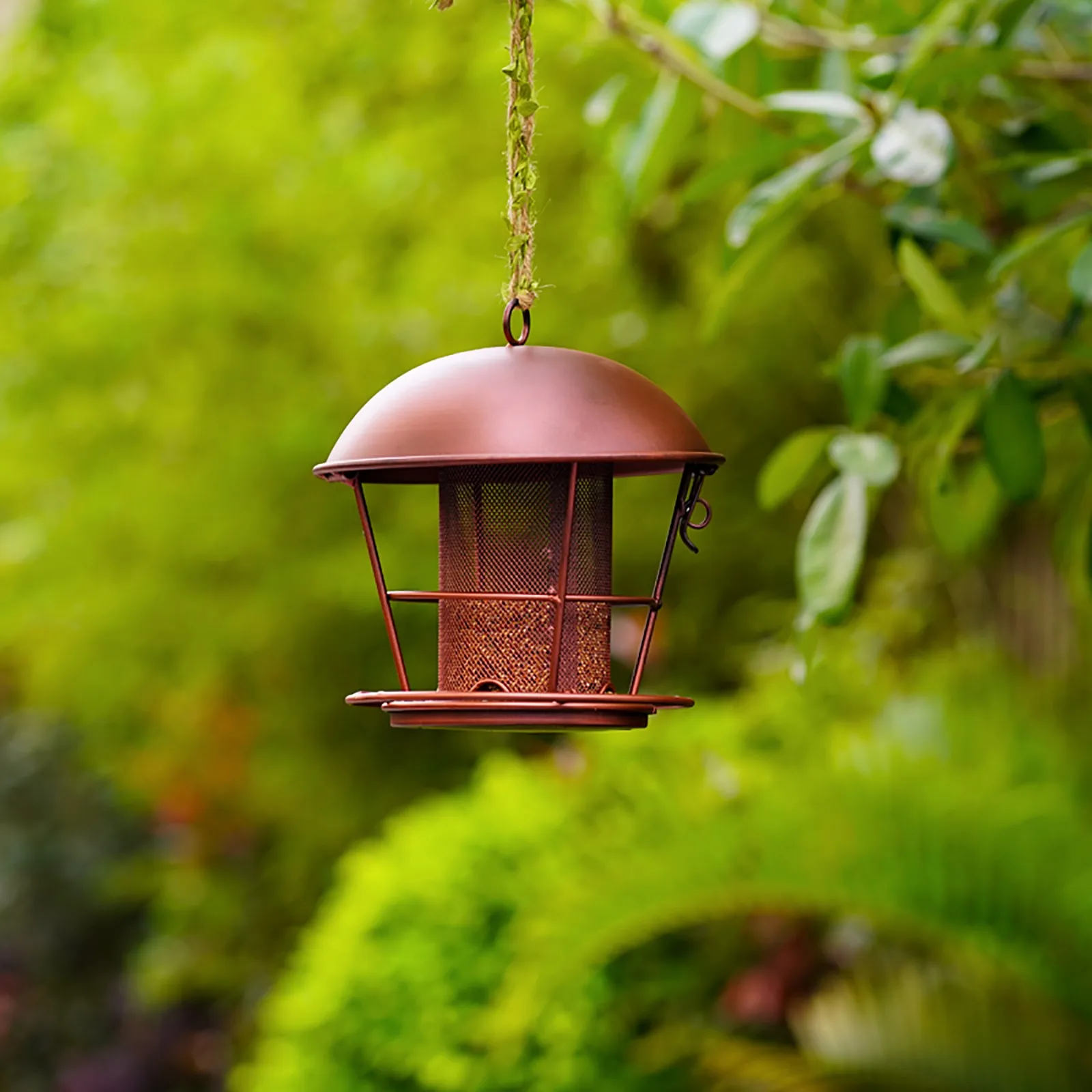

Bird Accessories Outdoor Metal Dome Bird Feeder Garden Iron Decor Accesorios Para Aves Comedero Para PáJaros Vogelvoederhuisjes