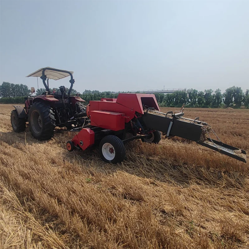 Customized Rectangu…