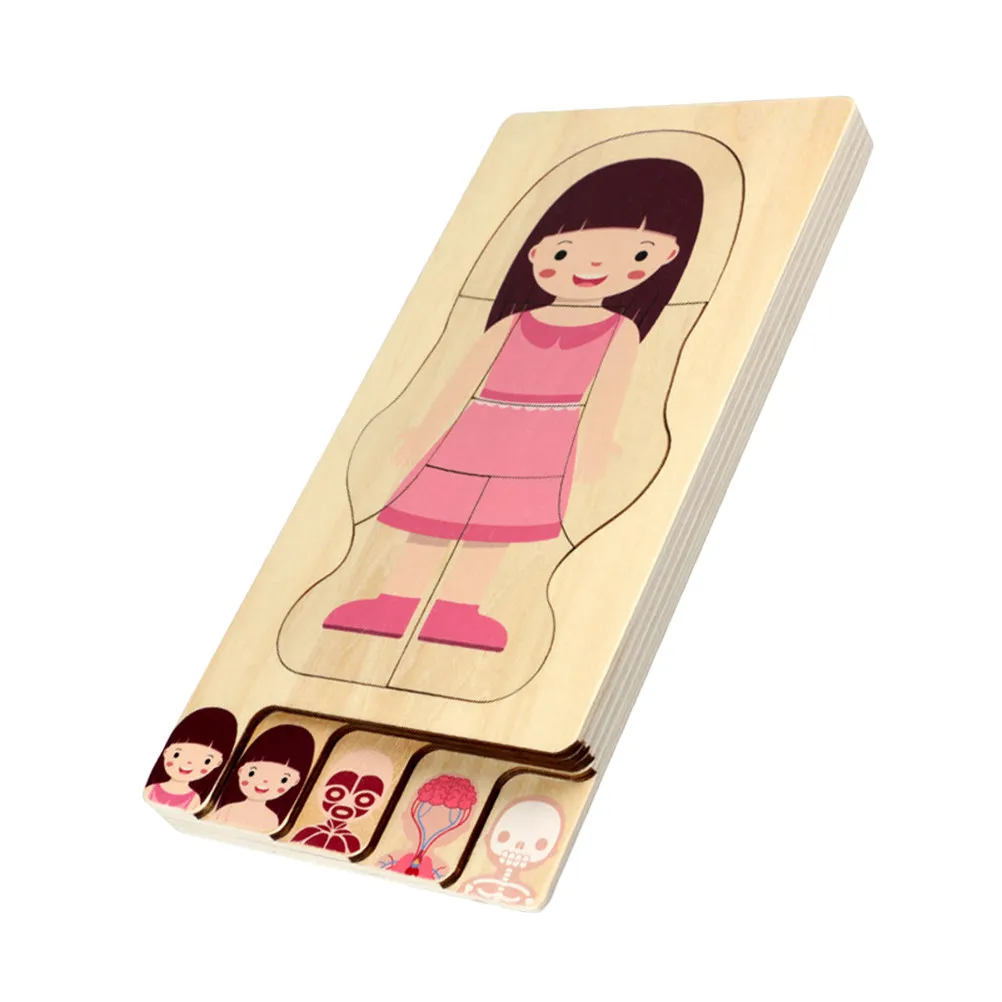 

Деревянная многослойная головоломка «Конституция организма» (1 шт.) – развивающая игра для детей, улучшающая координацию рук и глаз, развитие мышц, костей и органов.