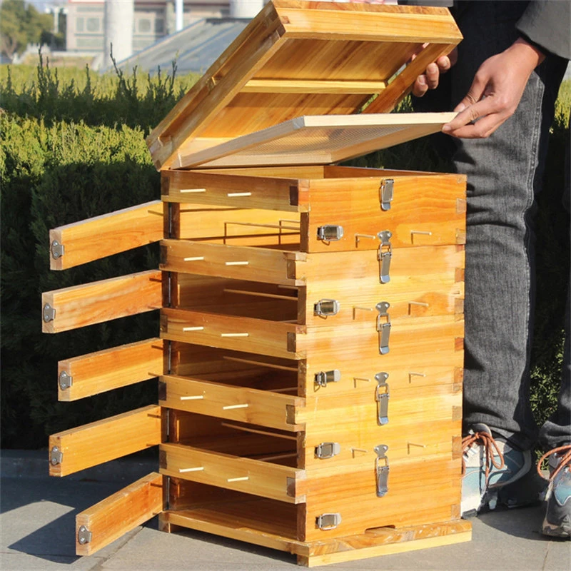 Lattice Beehives Full Set for Beekeeper Supplies Chinese Fir Bee Hive House Beekeeping Tool Wooden Bees Box Beekeeping Equipment