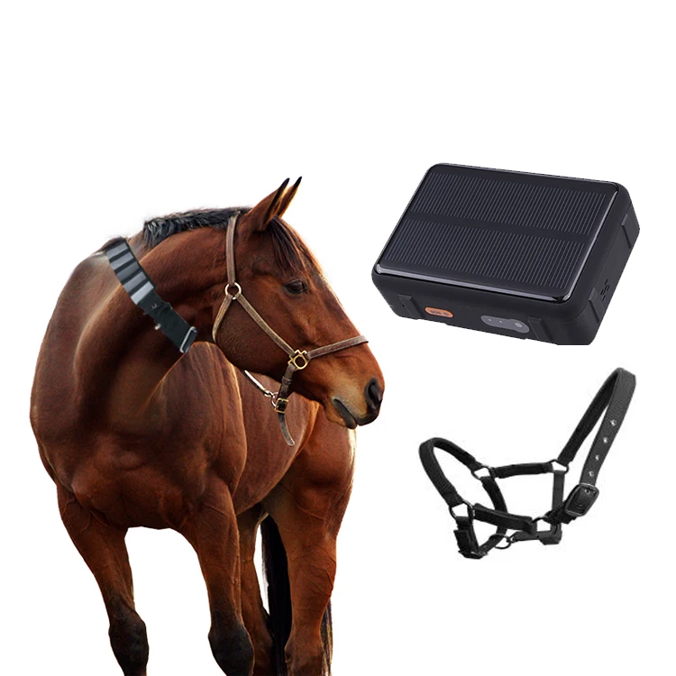 GPS Tracker 2G Big Battery 9000mAh Solar Collar for Cow Sheep Cattle Horse Camel Hunting Dog Pigeon Animal Gps Tracking