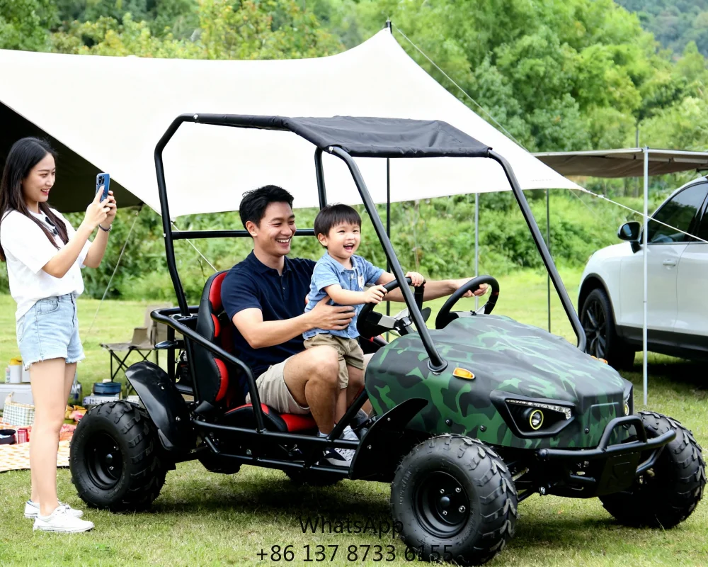 

Gear Ratio 10:1 Shaft Drive Electric 2-Seat Adult Teen Go Kart With 60V20AH Lead Acid Battery Off-Road Kart