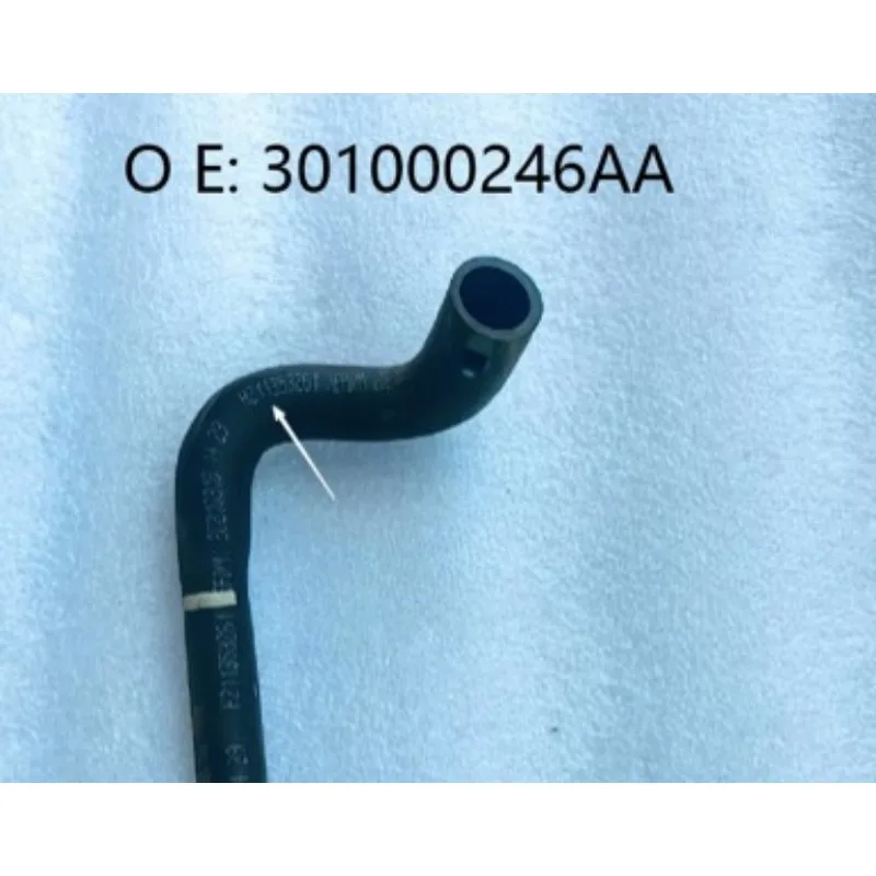 301000246AA 1Pc Gen…