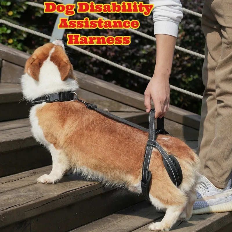 

‌Dog Hind Leg Support Harness Upgrade Mobility Aid Disabled Pets Walking Assistance Belt Special Needs Canine Rehabilitation