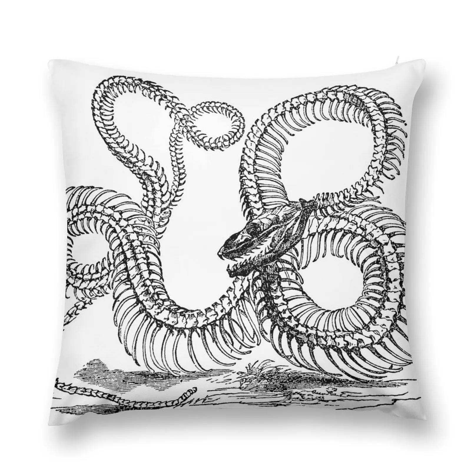 Vintage Boa Constrictor Snake Skeleton Illustration Retro 1800s Black and White Snakes Throw Pillow Sofa Cushion Cover pillow