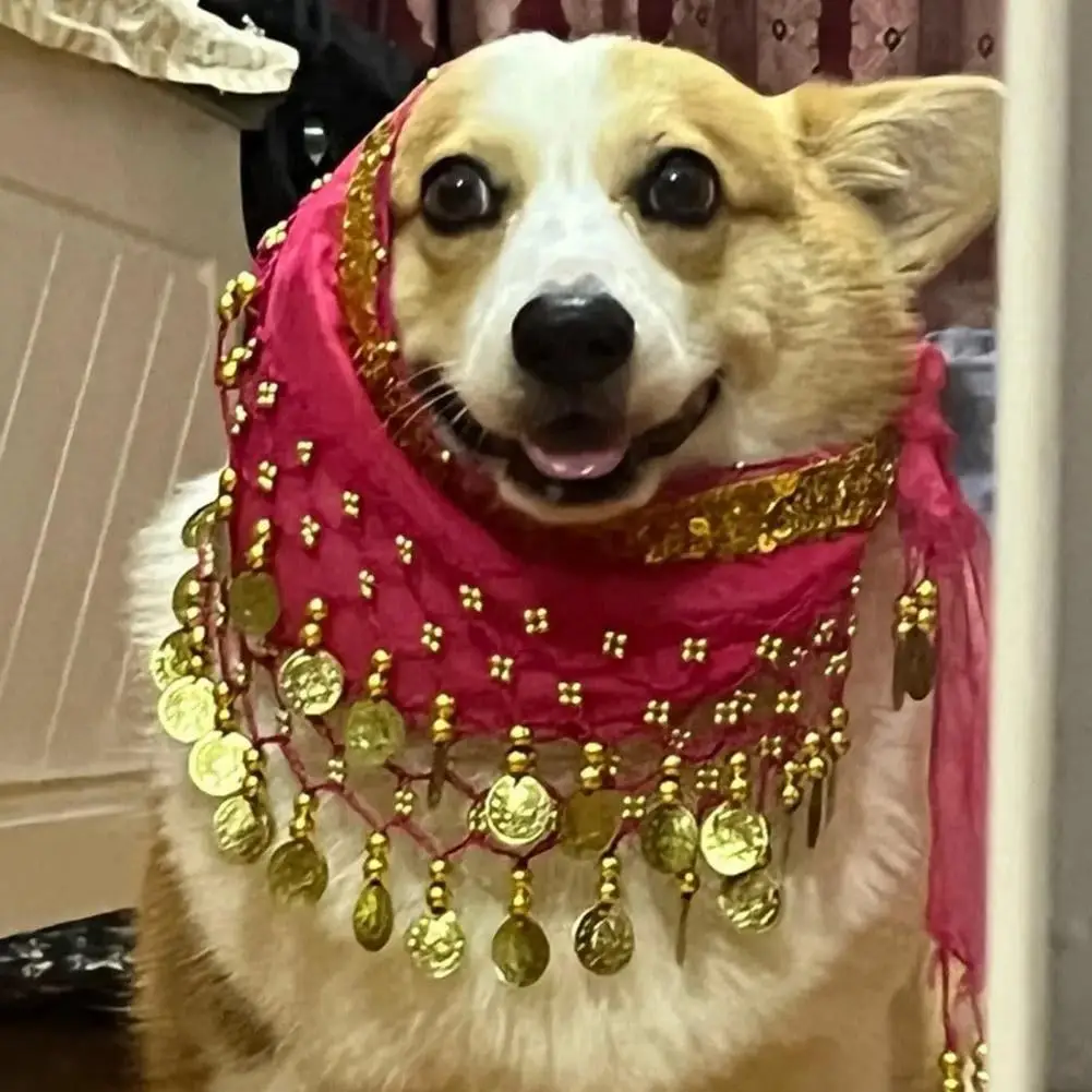 Corgi Waist Chain Corgi Dog Costume Set Sequin Waist Chain Butt Curtain Clothes Scarf for Halloween Dance Pet Accessory