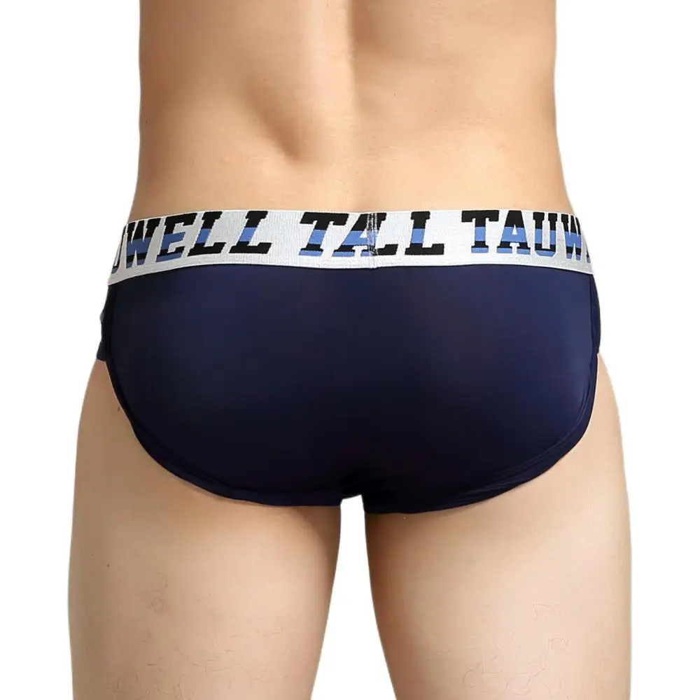 TAUWELL Men Briefs Sexy Transparent Underwear Low Waist Triangle Underpants Male Panties Bikinis Briefs for Man