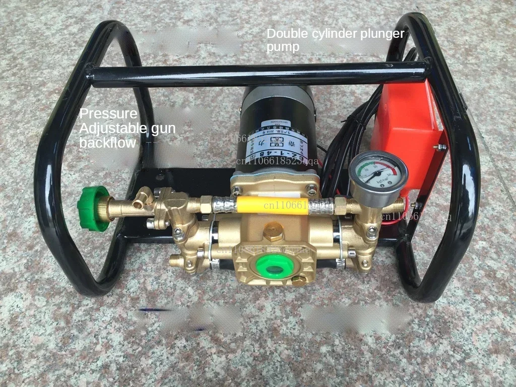 Portable Fight Drugs High-pressure Double-cylinder P12V24V48V  Agricultural Electric Fruit Tree Sprayer Pump