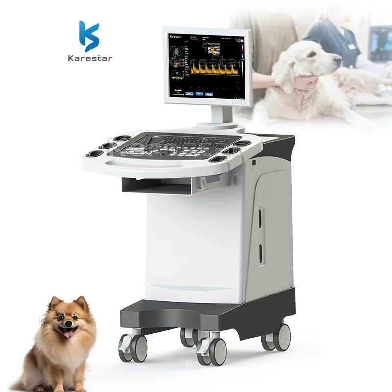 High Quality 19 Inch Animal Trolley Color Doppler Ultrasound Machine Veterinary Instrument