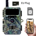 EU Plug-128GB