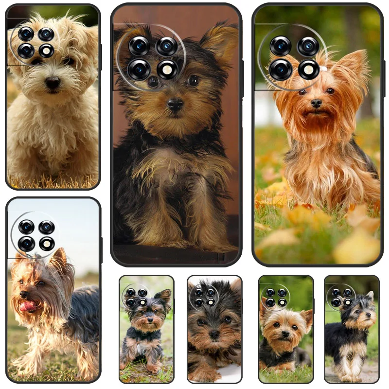 Yorkshire Terrier Dog Puppy Case For OnePlus Nord CE 3 Lite 2 2T N10 N20 OnePlus 12R 10T 9RT 10R 8 9 10 Pro 11 12 Cover