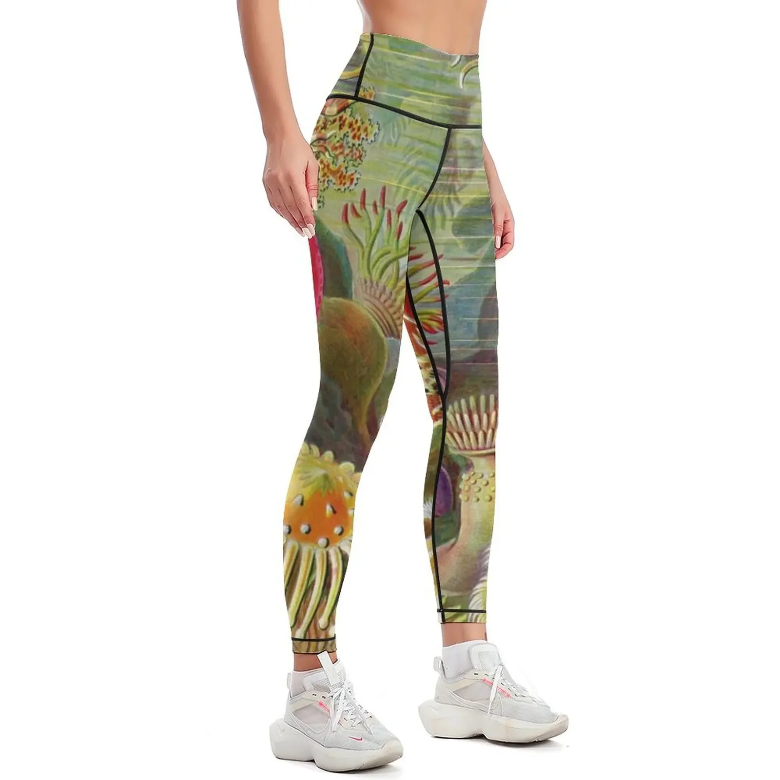 Sea anemone - Ernst Haeckel Leggings legging gym Leginsy push up Women sports Womens Leggings