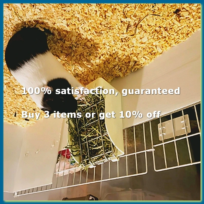 ●Grass Frame Hay Feeder Manger Rack For Guinea Pig Fixed Flip-Up Holder Grass Basket Small Pet