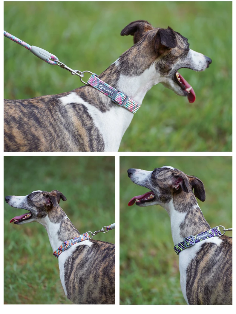Haustier liefert Hunde halsband für Welpen mittelgroße Hunde niedliche Katze langlebiges Leben Hunde leine Halsband Deutscher Schäferhund Walking Training neu – Detail 11