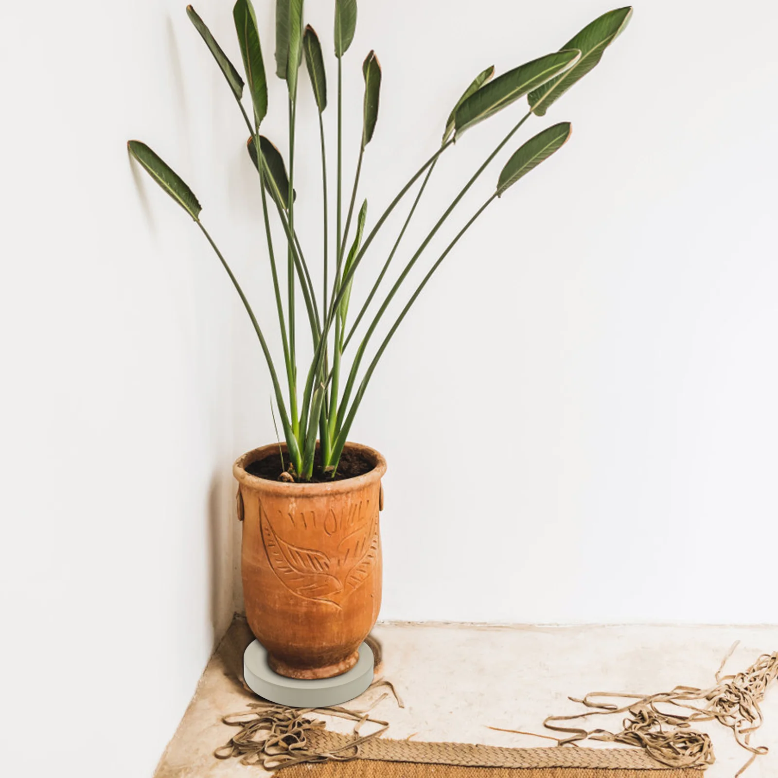 

Premium Plant Tray with Wheels Large Plant Stand Base for Indoor Plants Spill Proof Design Rolling Flower Pot Mover Garden Use