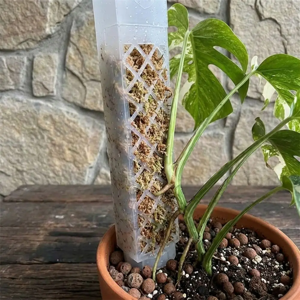 D-Shaped Self-Watering Plant Drip Plastic Adjustable Flow Rate Moss Column Pole Automatic Watering Plants Growth Stand