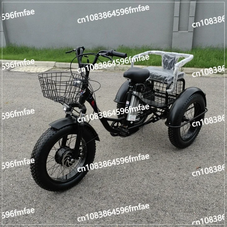 

20 Inch Fat Electric Bike 3 Wheeled Electric Tricycle with Passenger Seat for Adult 48v 500w Powerful Lithium Battery Removable