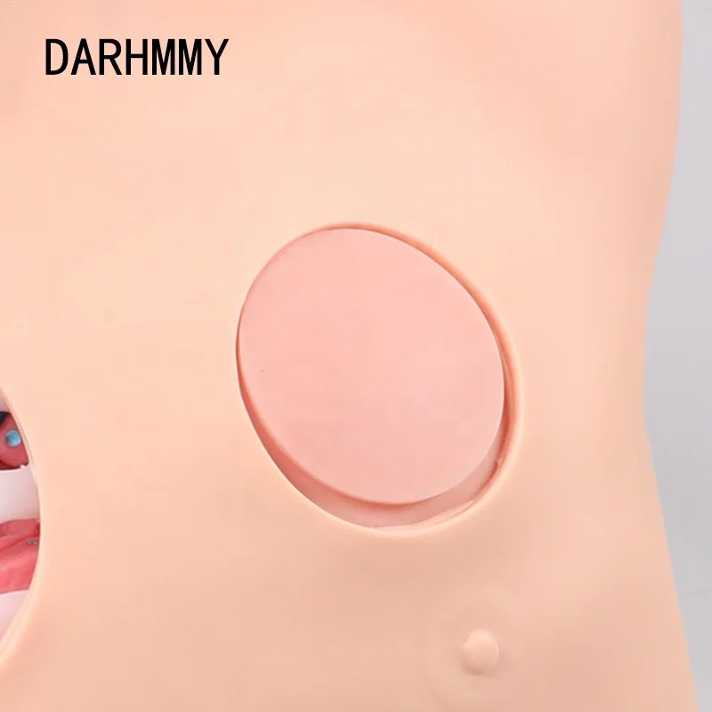 Simulator Drainase Pleura DARHMMY, Model Drainase Temperamentesis, Model Keperawatan Drainase Dada