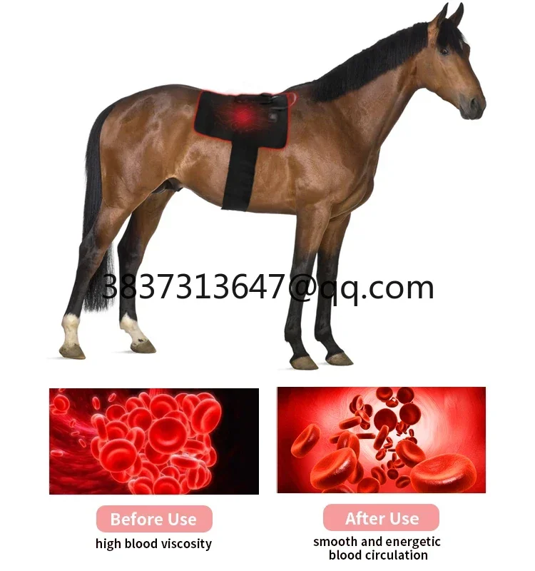 Bestselling   Horse Red Light Therapy Pad 660nm 850nm Infrared Light Wrap Equine Pet Animal Body Care Relief Pad
