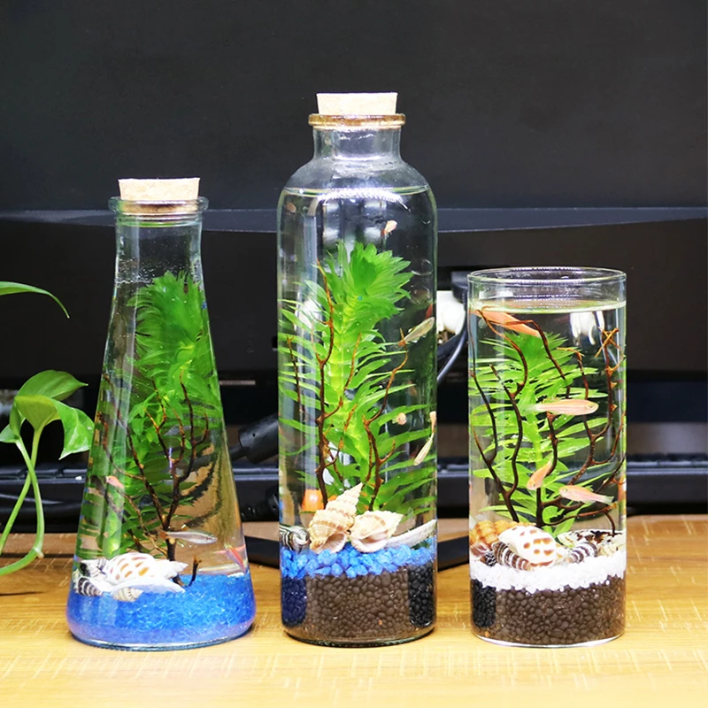Mini Beta Fish Tank Aquarium Bottles 4