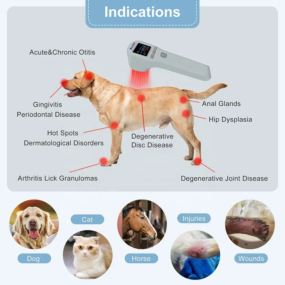 ZJZK red light therapy device veterinary use for pain relief anti-inflammation wound healing tissue repair 880mW 808nm+650nm