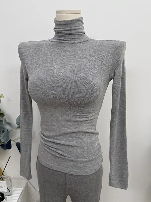 Recommended High-Quality Long Sleeve T-Shirt Sexy High Collar Thin Transparent Women's Skin-Friendly Soft Base Top Korean Style