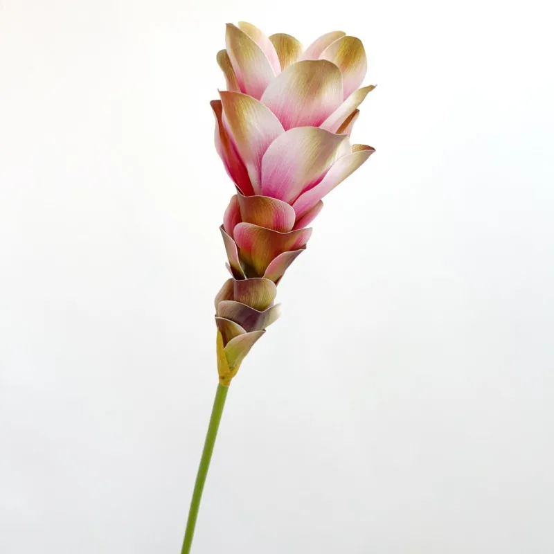 Simulierte Ingwerblume mit Farbverlauf, langer Zweig, künstliche Seidenblume für DIY-Party, Hochzeit, Raumdekoration, Hotel, ländliche Dekoration – Detail 5