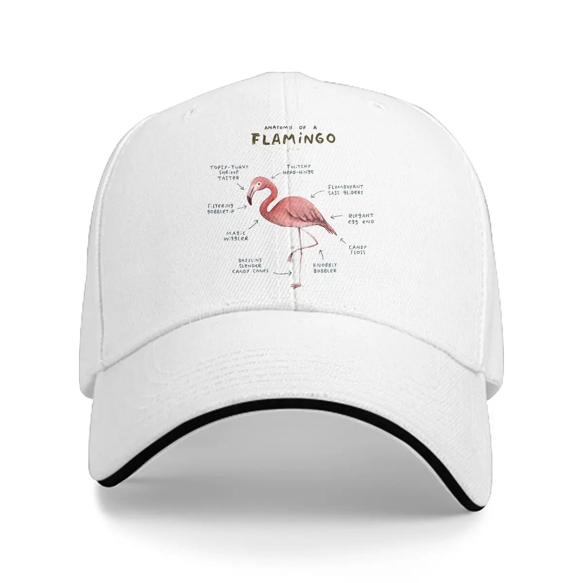 Anatomy Of A Flamingo Baseball Cap Men Hats Women Visor Protection Snapback Flamingo Animals Caps