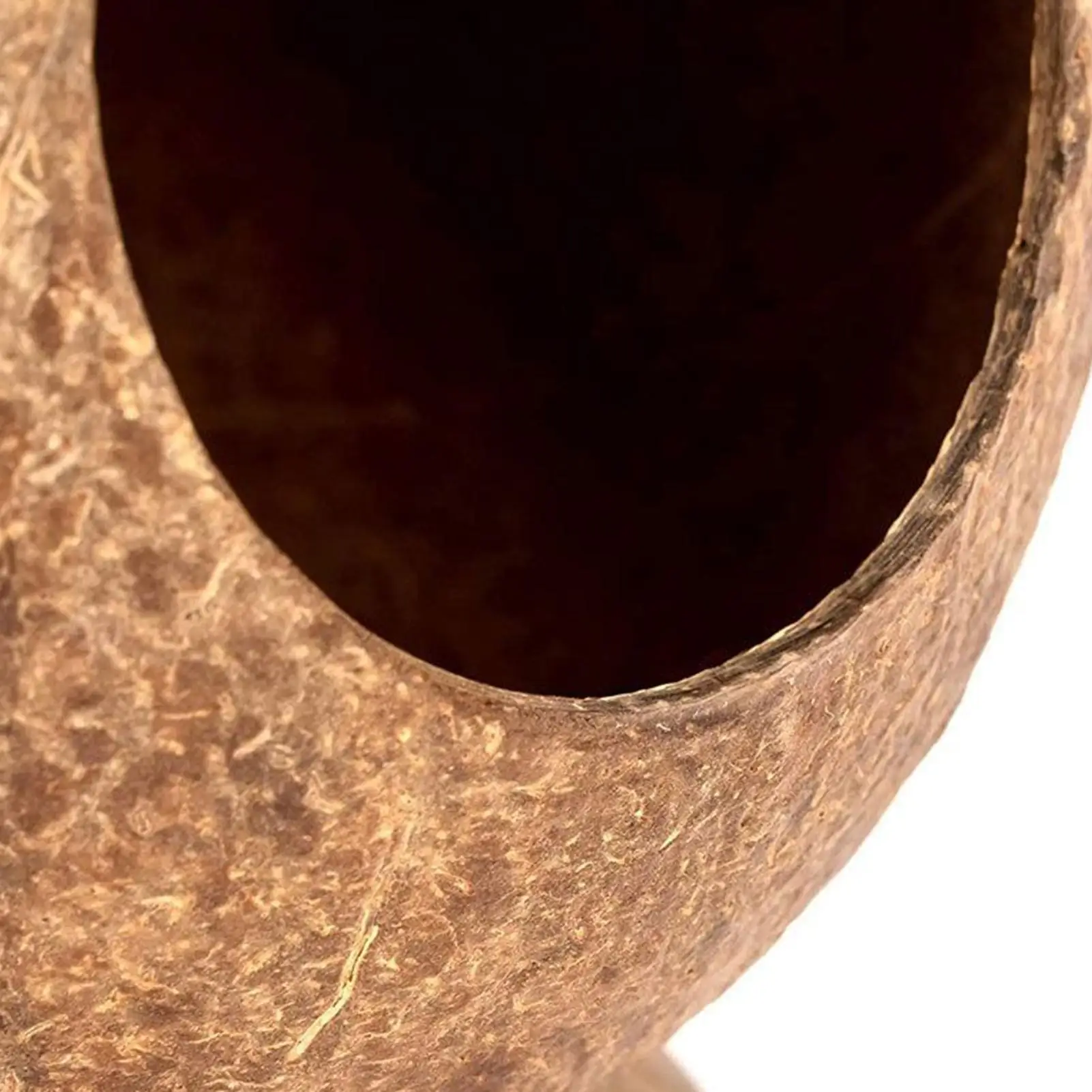 جربيل هاوس 5.3 × 4.7 بوصة ملحقات الهامستر حاوية مقاومة للمضغ مع قاعدة مضادة للطرف موئل الكهف لأرنب القنفذ جربيل #4